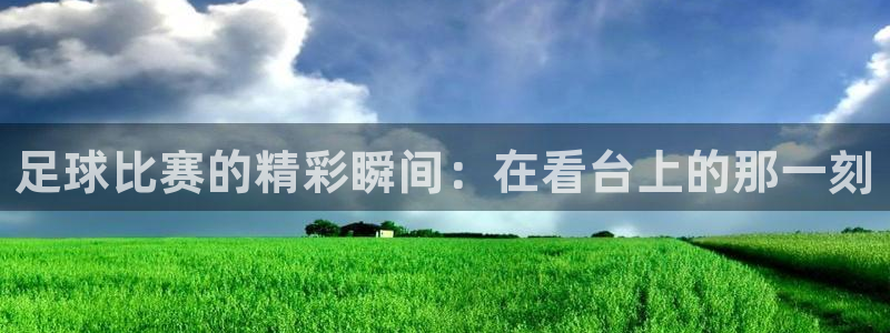 足球比赛的精彩瞬间：在看台上的那一刻