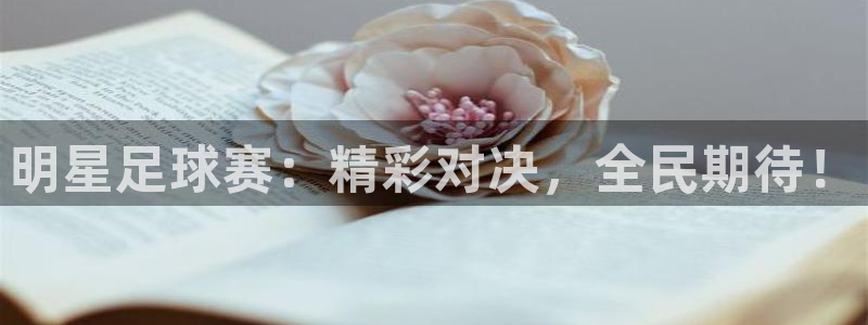 明星足球赛：精彩对决，全民期待！