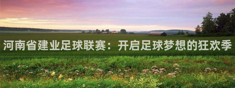 河南省建业足球联赛：开启足球梦想的狂欢季