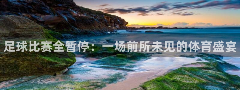  足球比赛全暂停：一场前所未见的体育盛宴