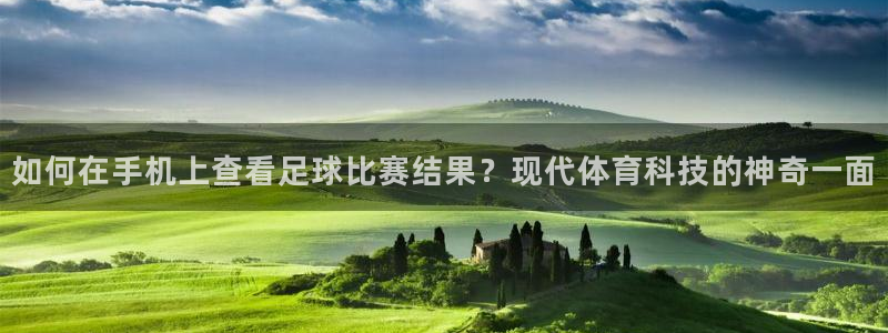  如何在手机上查看足球比赛结果？现代体育科技的神奇一面