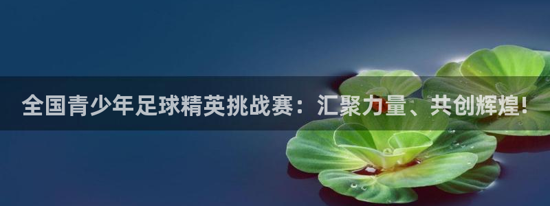  全国青少年足球精英挑战赛：汇聚力量、共创辉煌!