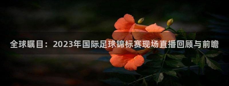  全球瞩目：2023年国际足球锦标赛现场直播回顾与前瞻