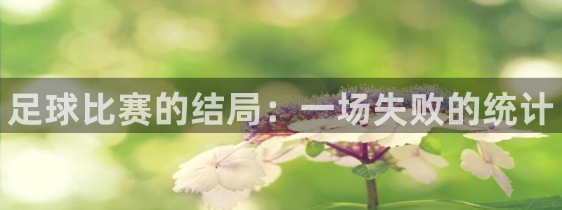 足球比赛的结局：一场失败的统计