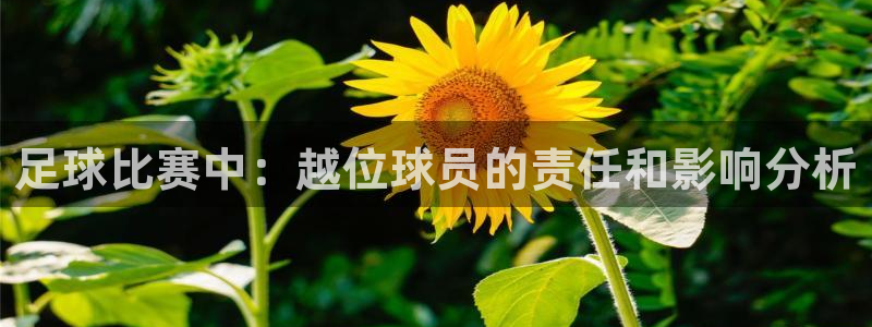  足球比赛中：越位球员的责任和影响分析