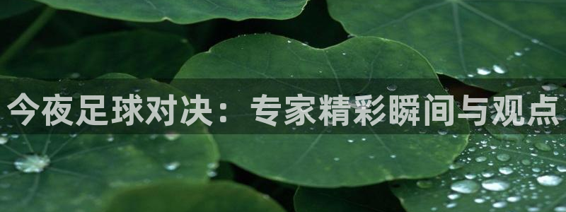 今夜足球对决：专家精彩瞬间与观点