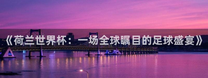  《荷兰世界杯：一场全球瞩目的足球盛宴》