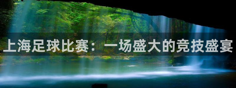  上海足球比赛：一场盛大的竞技盛宴