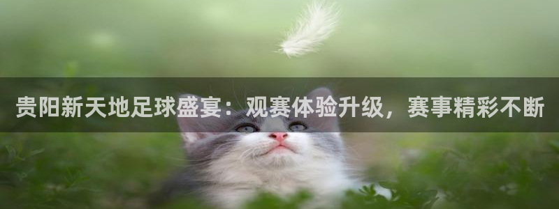 贵阳新天地足球盛宴：观赛体验升级，赛
