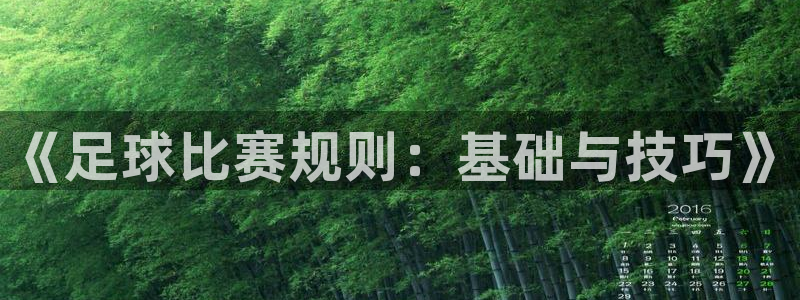 《足球比赛规则：基础与技巧》