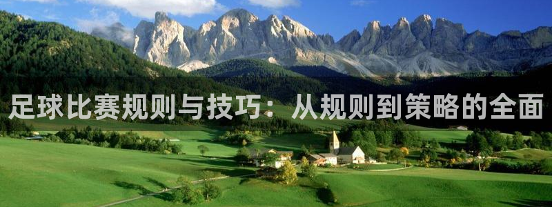 足球比赛规则与技巧：从规则到策略的全面