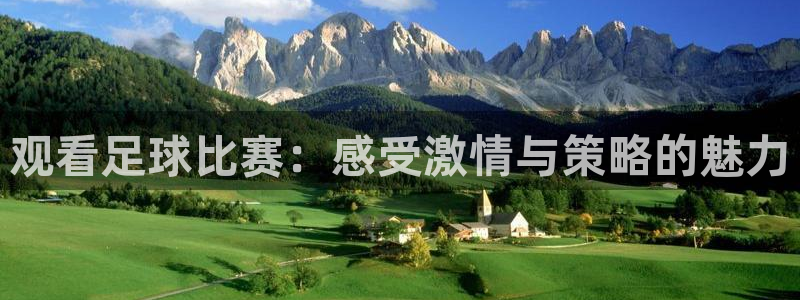 观看足球比赛：感受激情与策略的魅力