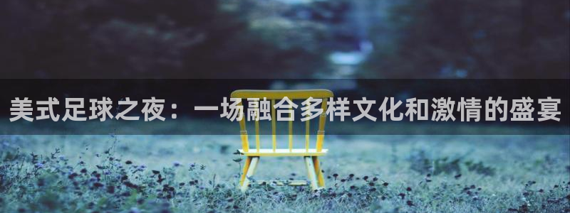 美式足球之夜：一场融合多样文化和激情的盛宴