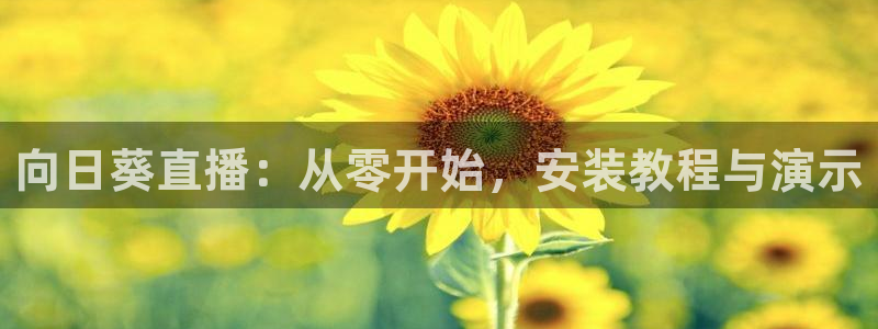 833直播nba免费观看高清直播：向日葵直播：从零开始，安装教程与演示