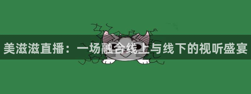 833nba直播在线观看免费：美滋滋直播：一场融合线上与线下的视听盛宴