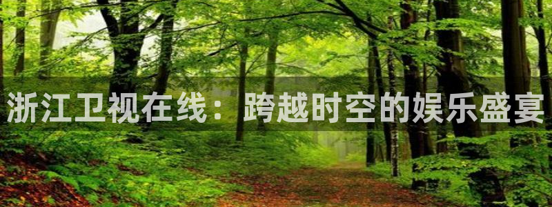 833直播比赛在线观看：浙江卫视在线：跨越时空的娱乐盛宴