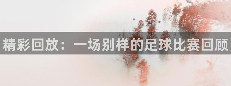 精彩回放：一场别样的足球比赛回顾