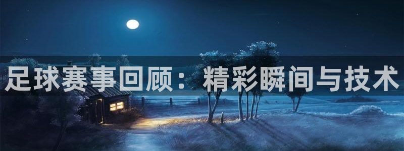 足球赛事回顾：精彩瞬间与技术