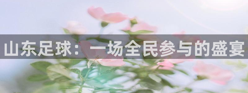 山东足球：一场全民参与的盛宴