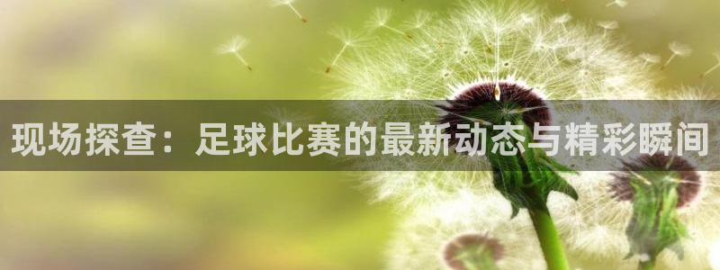 现场探查：足球比赛的最新动态与精彩瞬