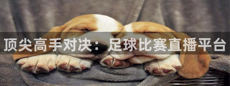 顶尖高手对决：足球比赛直播平台