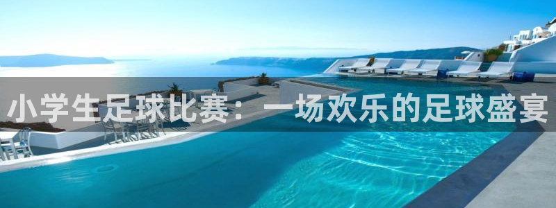 小学生足球比赛：一场欢乐的足球盛宴