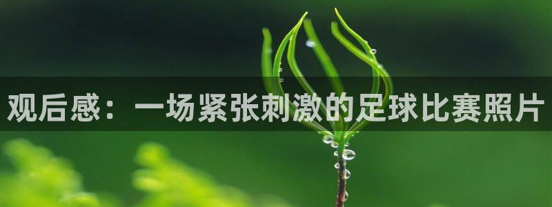 观后感：一场紧张刺激的足球比赛照片
