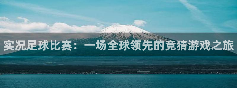 实况足球比赛：一场全球领先的竞猜游戏之旅