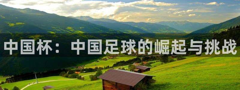 中国杯：中国足球的崛起与挑战
