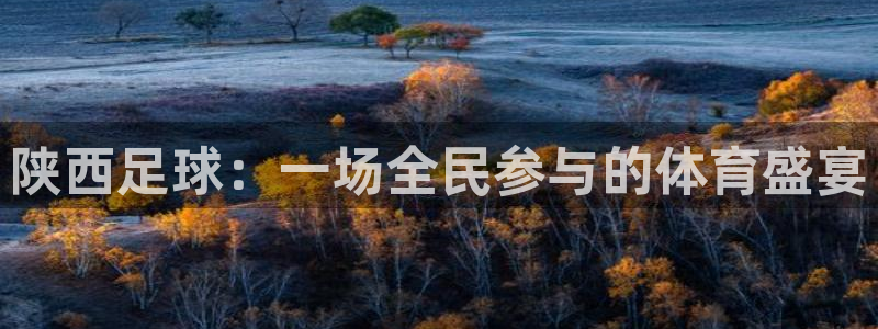 陕西足球：一场全民参与的体育盛宴