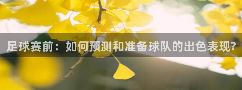 足球赛前：如何预测和准备球队的出色表