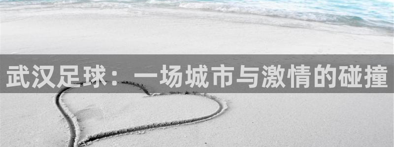 武汉足球：一场城市与激情的碰撞