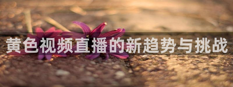 833篮球直播在线直播观看免费：黄色视频直播的新趋势与挑战