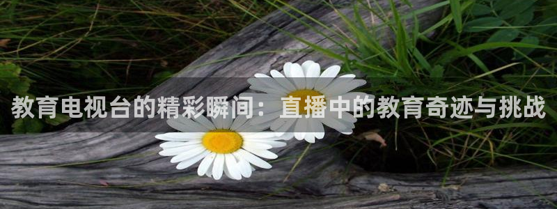 833体育直播在线观看：教育电视台的精彩瞬间：直播中的教育奇迹与挑战
