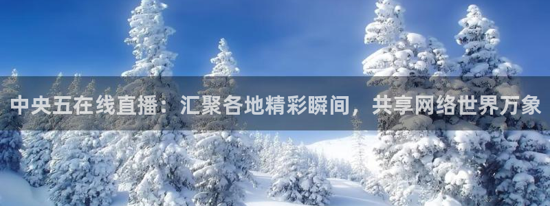 833看球直播在线观看：中央五在线直播：汇聚各地精彩瞬间，共享网络世界万象