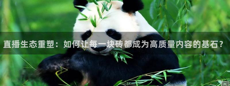 833体育在线直播在线看免费版：直播生态重塑：如何让每一块砖都成为高质量内容的基石？