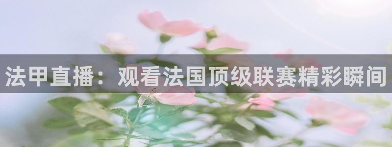 833直播足球比赛在线观看：法甲直播：观看法国顶级联赛精彩瞬间