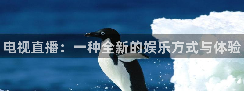 833体育直播免费观看：电视直播：一种全新的娱乐方式与体验