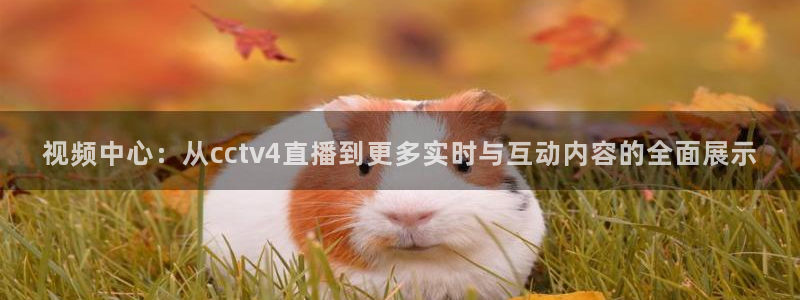 足球比赛直播间833：视频中心：从cctv4直播到更多实时与互动内容的全面展示
