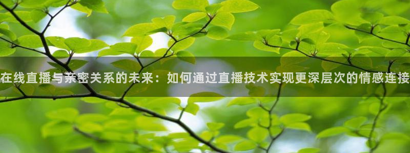 833直播足球直播：在线直播与亲密关系的未来：如何通过直播技术实现更深层次的情感连接