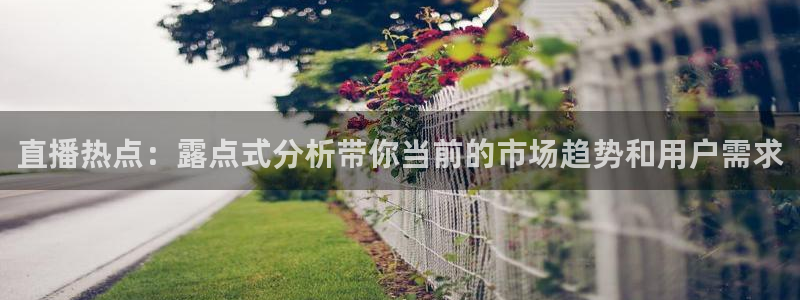 833足球比赛免费直播：直播热点：露点式分析带你当前的市场趋势和用户需求
