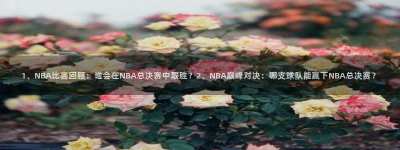 833直播体育：1、NBA比赛回顾：谁会在NBA总决赛中取胜？2、NBA巅峰对决：哪支球队能赢下NBA总决赛？