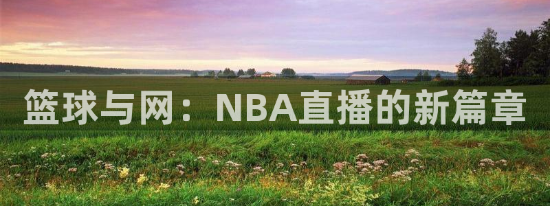 833篮球直播在线直播：篮球与网：NBA直播的新篇章