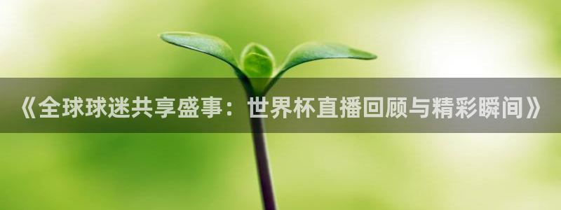 833足球直播免费直播：《全球球迷共享盛事：世界杯直播回顾与精彩瞬间》